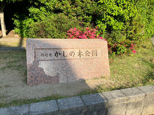 公園での一コマ④