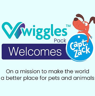 Wiggles Acquired Capt Zack in cash deal and Equity