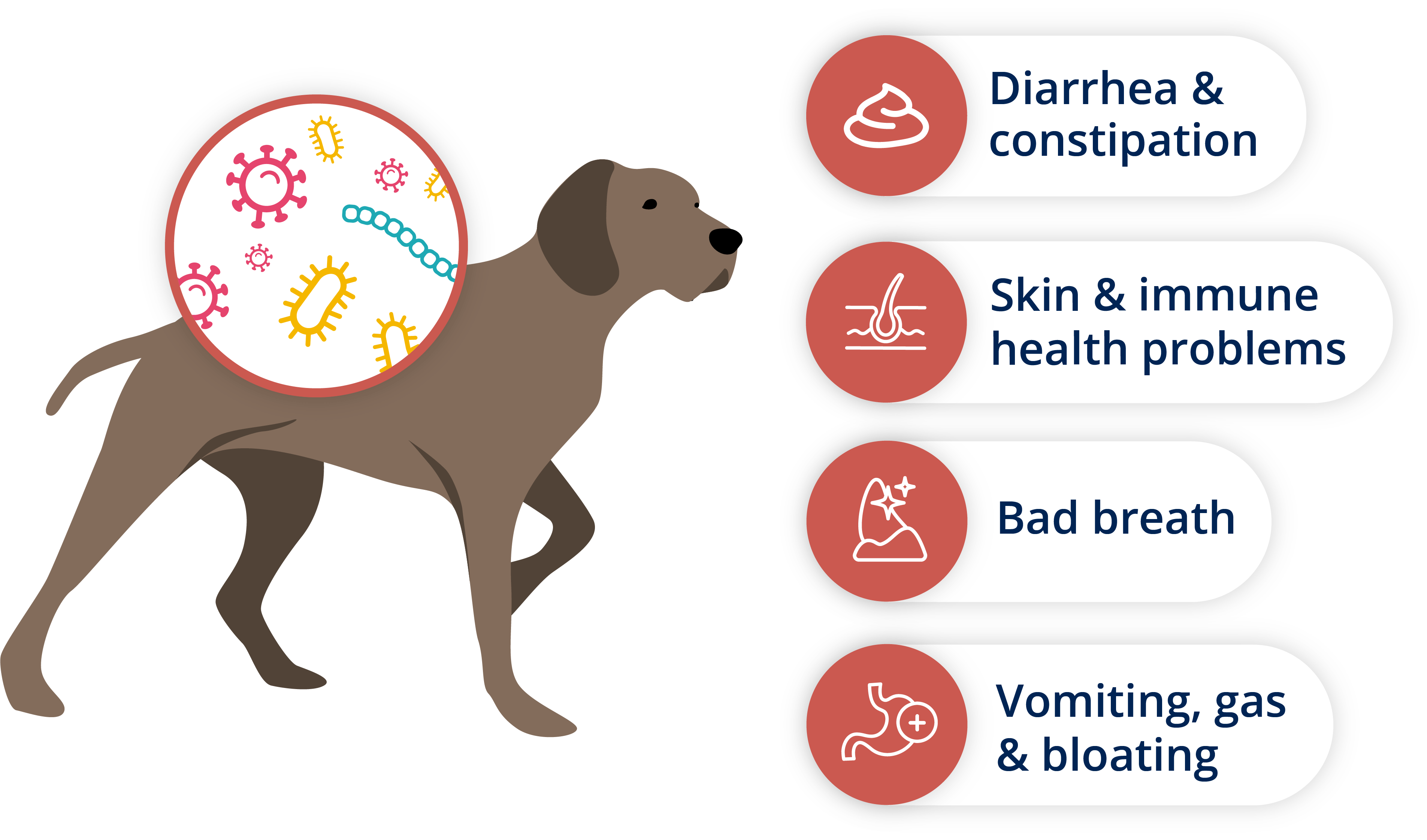 Imbalances in Gut Biome