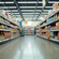 Exploring Pet Industry Trends in India