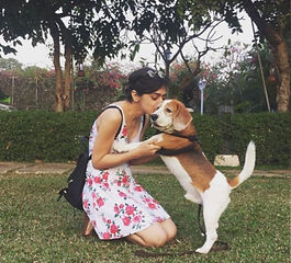 Beagle Wisdom: A Journey with Theo