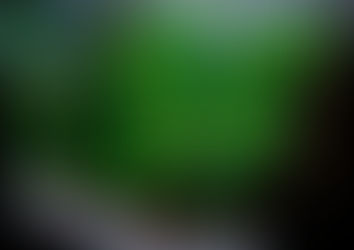 You Need To Know About Planted Aquariums: 8 Useful Tips