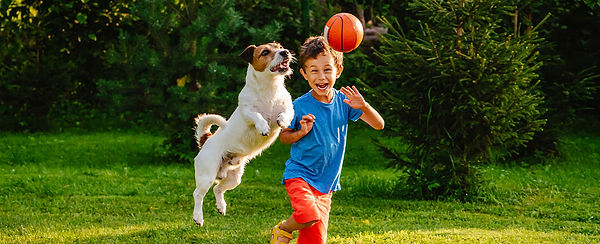 Divider-Banner-Introducing your new puppy to Children-(1206x491).jpg