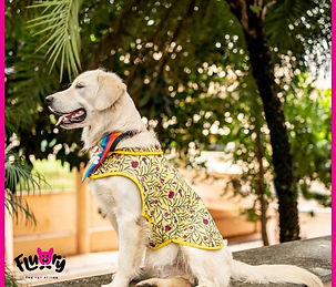 Flury, The Pet Attire: Unleash Indian Prints as Fashion statement for Your Furry Friend