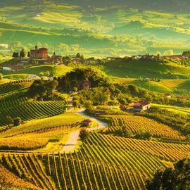 Piedmont: Barolo, Truffle and the Table of the Langhe