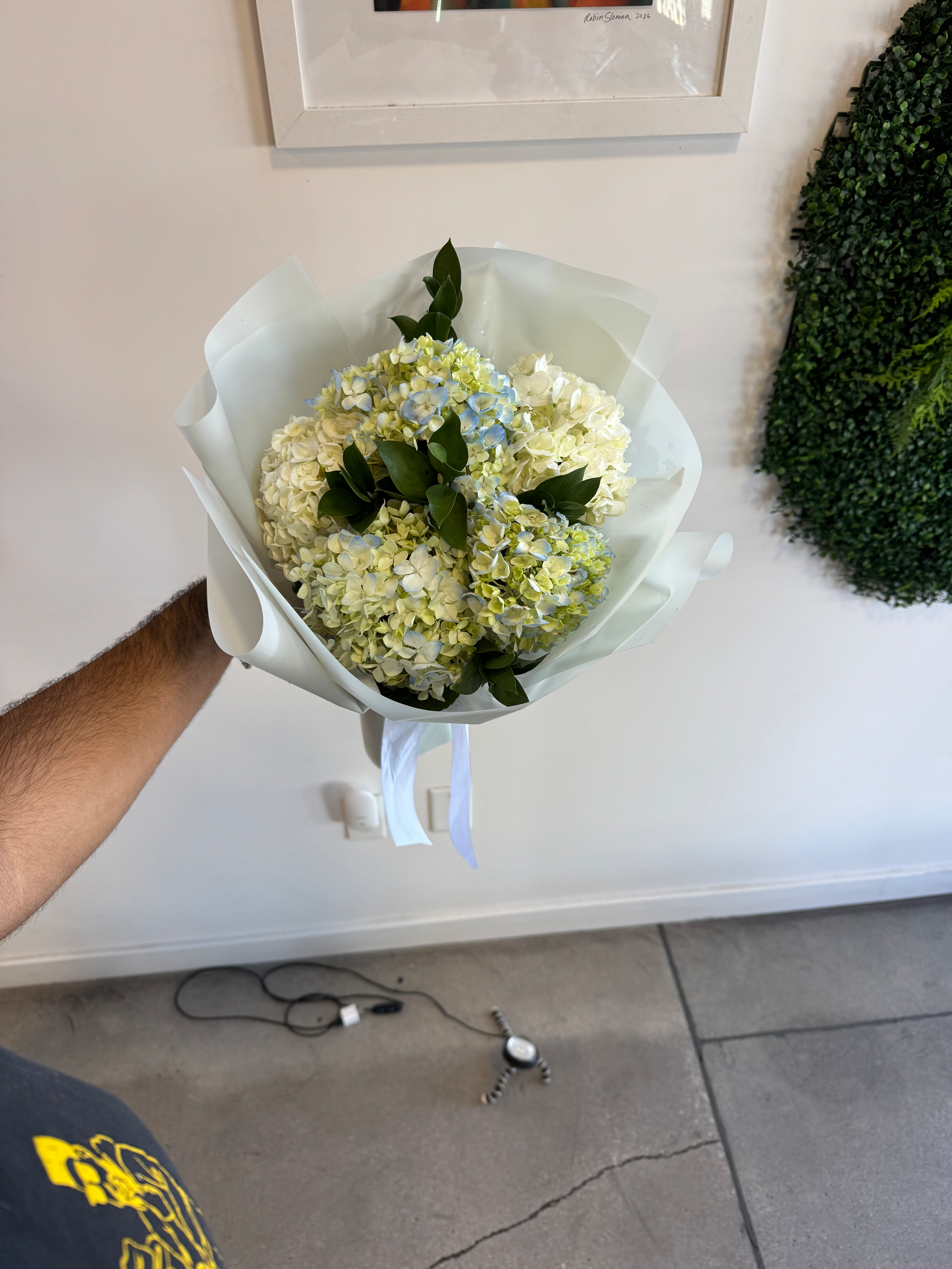 Bunch of Hydrangeas
