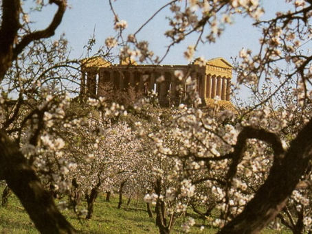 Almond Blossom Route Sicily