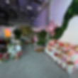 las vegas flower shop