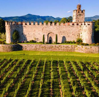 Franciacorta winery, Italy