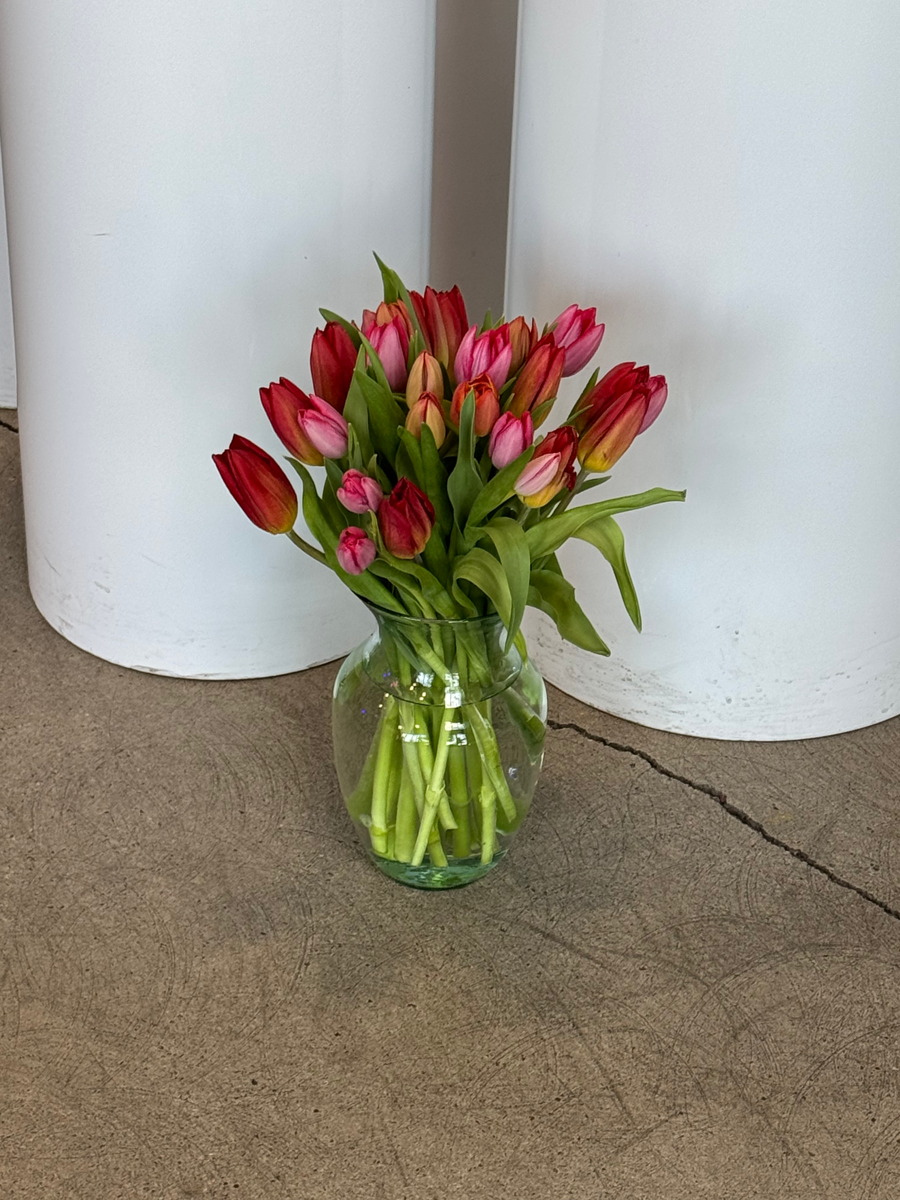 36 Tulips in a glass vase