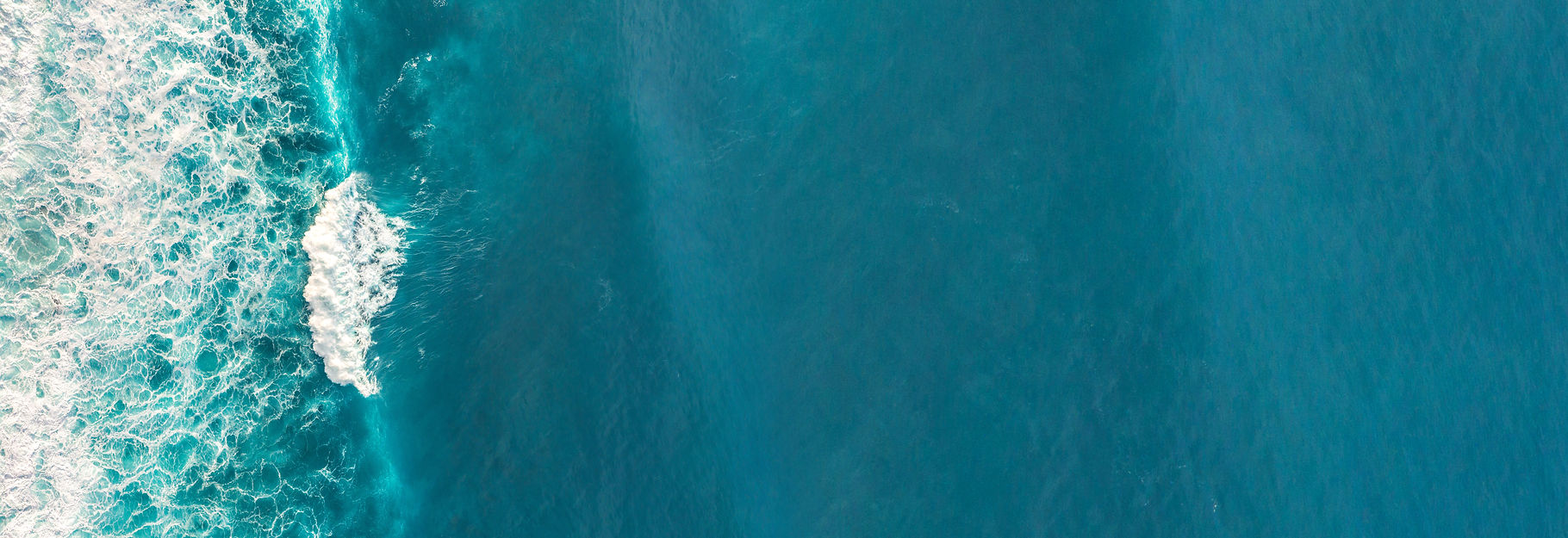 AdobeStock_321325378.jpeg