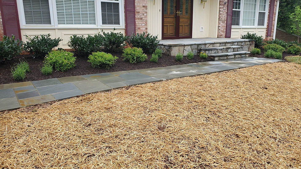 Mulching Project