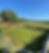 Grass_edited