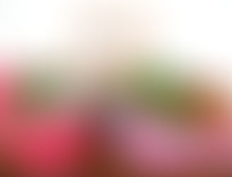 本日2日は【やさい・くだもの感謝の日】