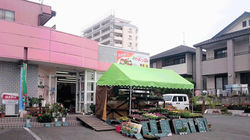 花立店店頭