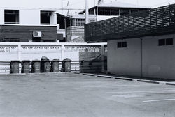 CNV000031