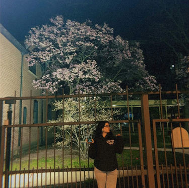 Spring at UIC