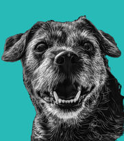 Losing a Furbaby: Navigating the Grief of Pet Loss