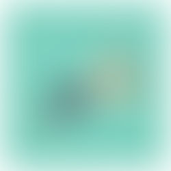 The Body Keeps The Score