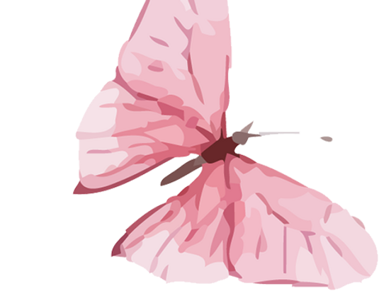 Borboleta Aquarela 14