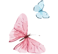 Borboleta Aquarela 14