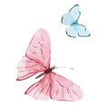 Watercolor Butterfly 14
