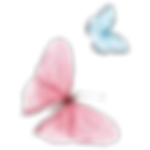 Watercolor Butterfly 14