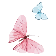 Papillon Aquarelle 14