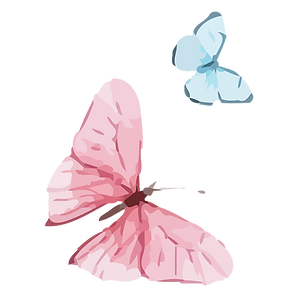Illustration of pink and blue butterflies