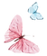 butterflies