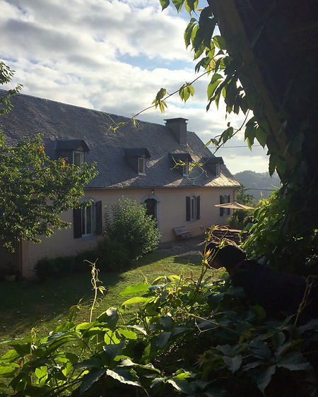 house from above.jpg