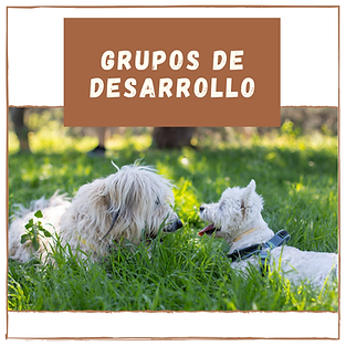 Servicios Web (5).png