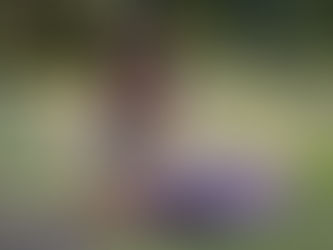 ¿QUE IMPLICA CONVIVIR CON UN PERRO EDUCADO DE MANERA AMABLE?