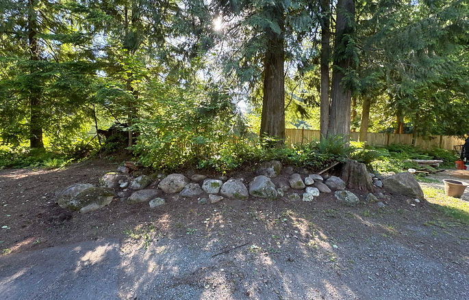 driveway overgrowth after.jpg