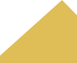 Rectangle 601.png