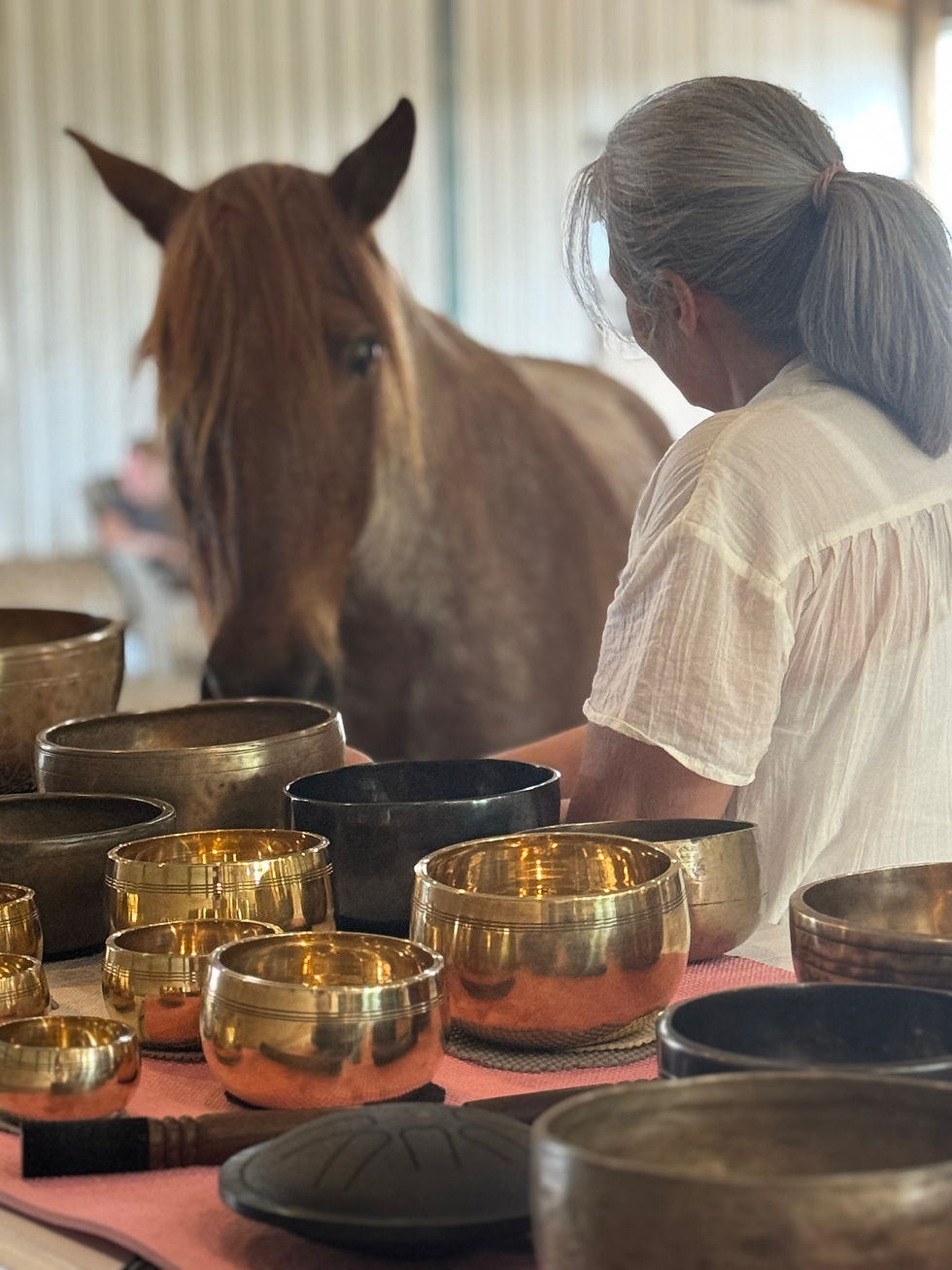 Open Meditation Circle 