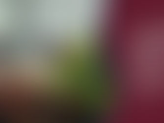 INSTITUTO GNOSIS APOIA EVENTOS DE COMEMORAÇÃO DO CENTENÁRIO DA COLÔNIA JULIANO MOREIRA, QUE INCLUEM EXPOSIÇÃO, SEMINÁRIO E SEMANA DA LUTA ANTIMANICOMIAL