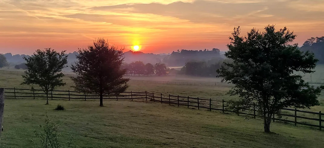 sunset.webp