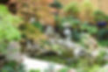 DSC00326_edited_edited.jpg