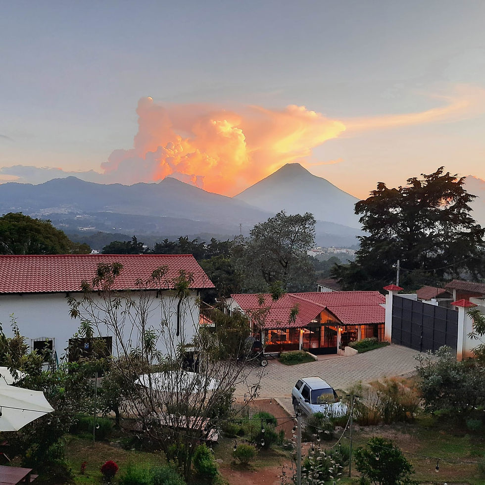 Chica Bean at sunset