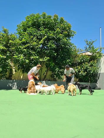 Imagem do WhatsApp de 2023-03-08 à(s) 11.49.29.jpg