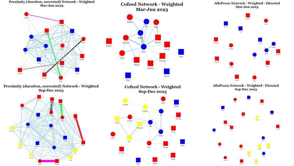 SocialNetworks2023and2024.jpg