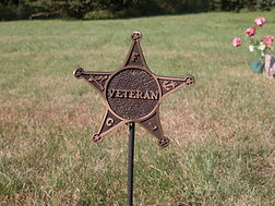 DSCN0218.JPG