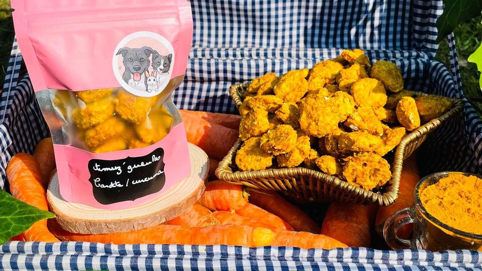 Amuz'gueules carotte/curcuma 