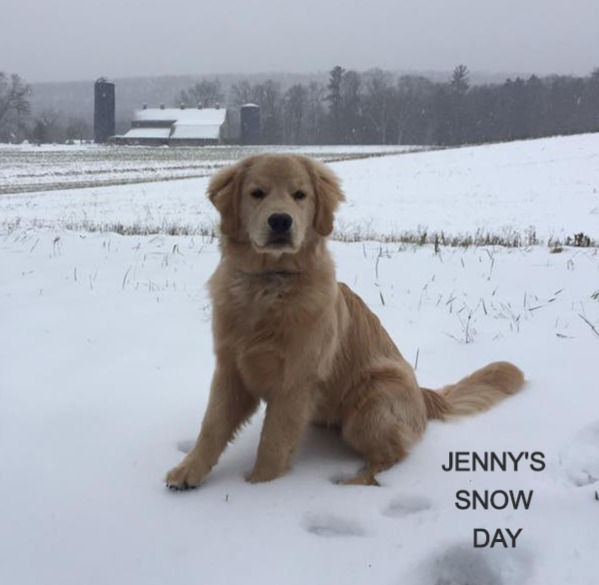 JENNY%20IN%20THE%20SNOW_edited