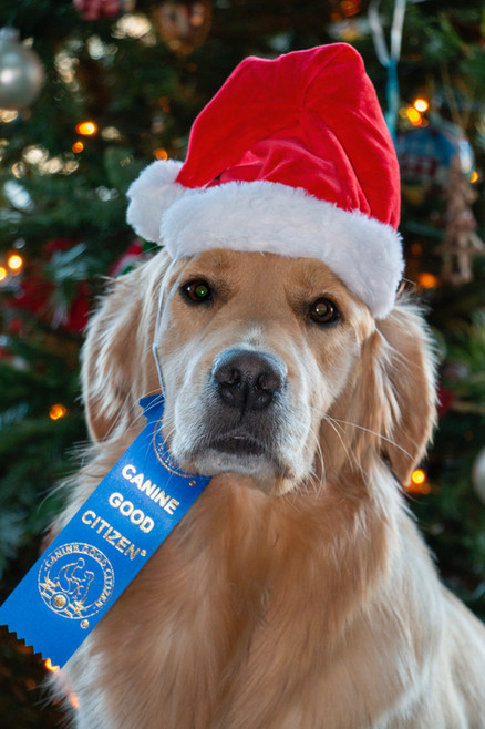 Della Christmas.JPEG