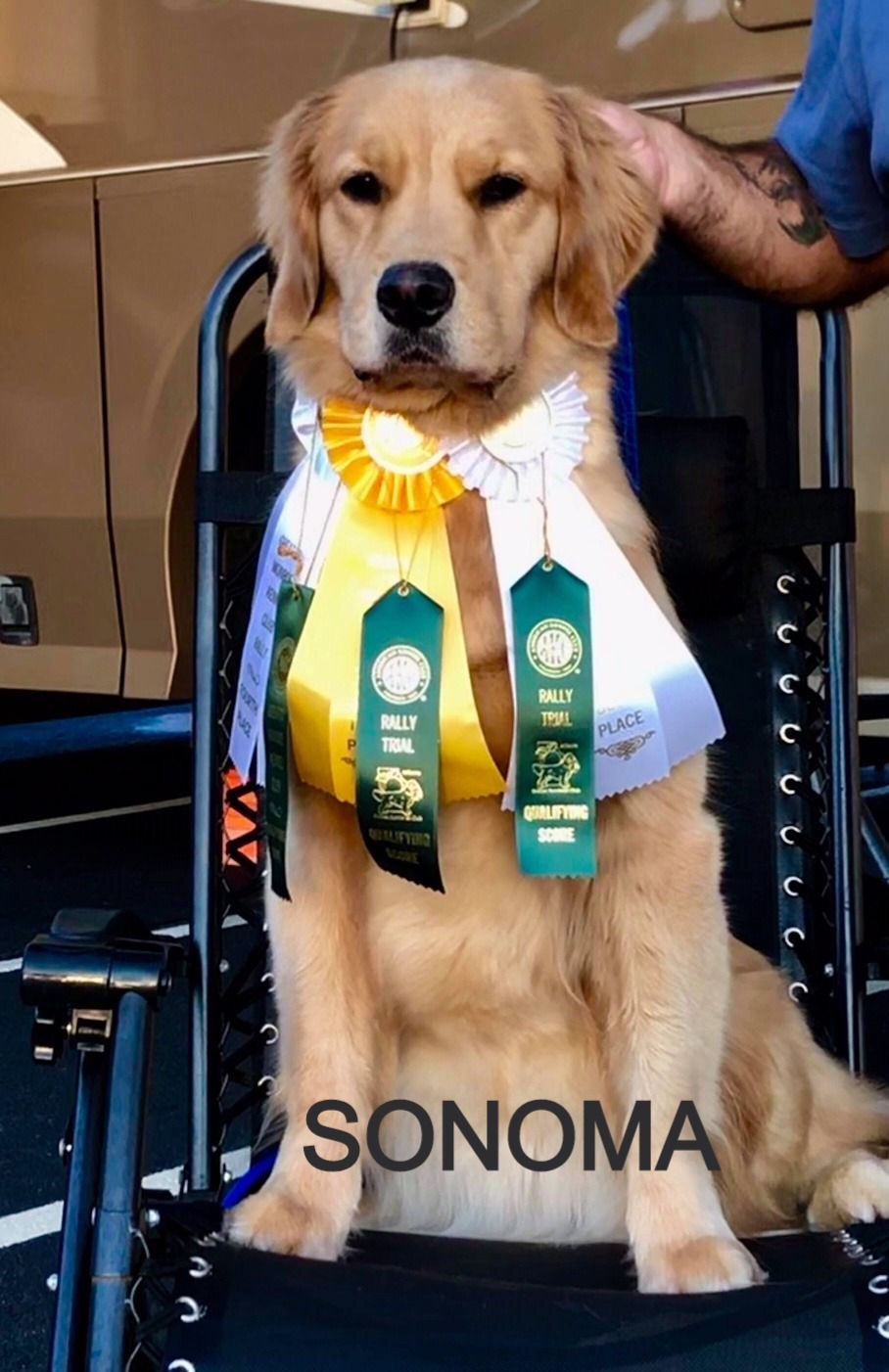 SONOMA%203_edited