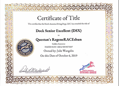 DITTO DOCK SENIOR EXCELLENT DSX.JPG.png