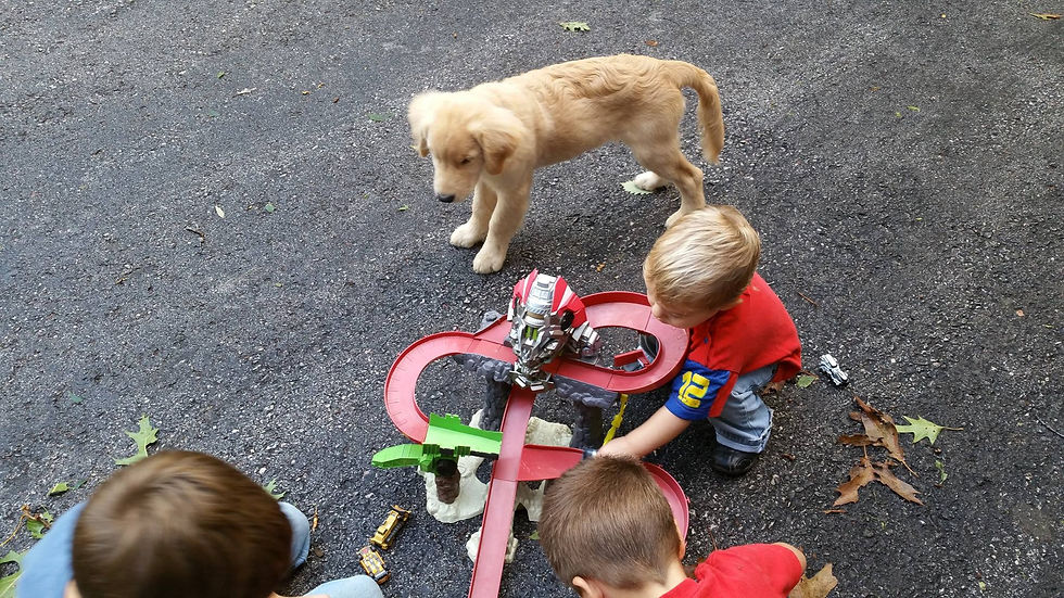 LEO PLAYING WITH THE KIDS
