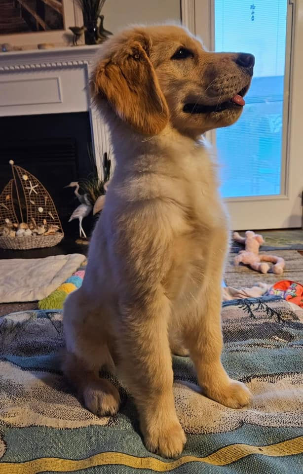 Willow at 14 Weeks